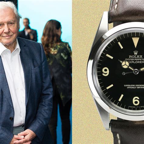 david attenborough rolex commercial|attenborough rolex auction.